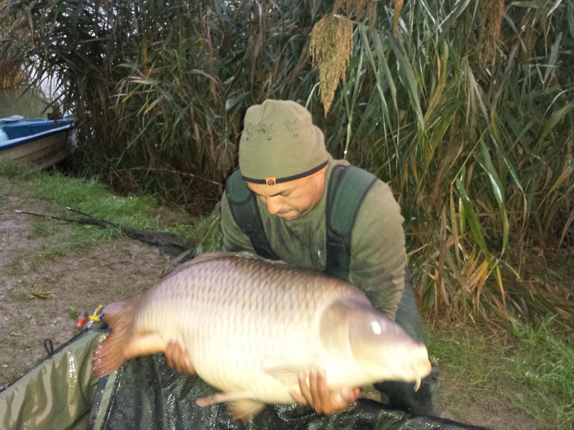 Harsany 2014 - 20141015064449.jpg